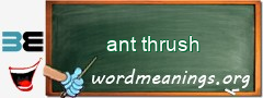 WordMeaning blackboard for ant thrush